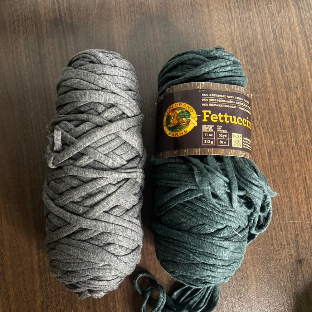 bundle of Lion Brand Fettuccini Yarm